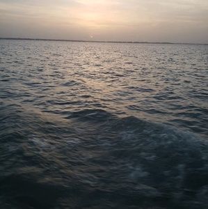 Meet your Posher, Randa